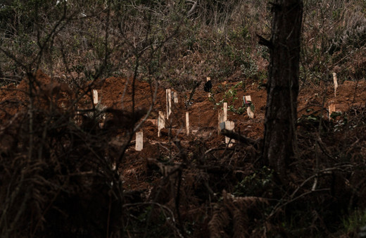 İstanbul'da 2 koronavirüs mezarlığı açıldı tabutla gömülüyorlar