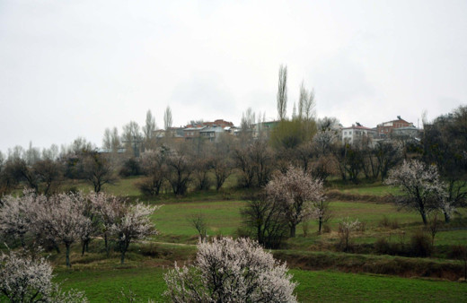 Sivas'ta 5 köyde koronavirüs karantinası