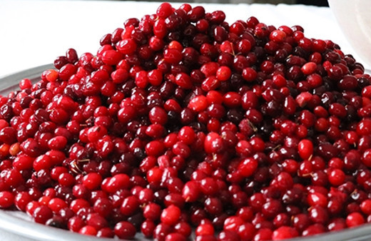 Kızılcık neye iyi gelir kötü kolesterolü düşürüyor!