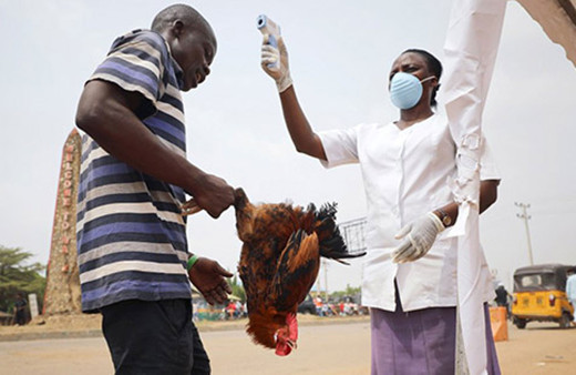 Nijerya'da difteri salgını 26 can aldı