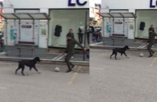 Sokakta kimseyi bulamadı, köpekle futbol oynadı
