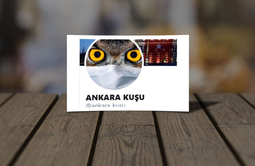 Twitter fenomeni 'Ankara Kuşu' gözaltına alındı