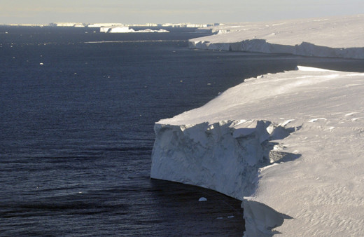 Antarktika'da 90 milyon yıl önce yağmur ormanı bulunduğuna dair kanıt bulundu