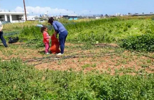 KKTC'de çiftçiden korona nedeniyle zorda olan halka bedava sebze jesti