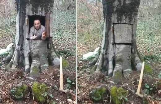 Samsun'daki şahıs koronavirüsten korunmak için 400 yıllık ağacı oydu