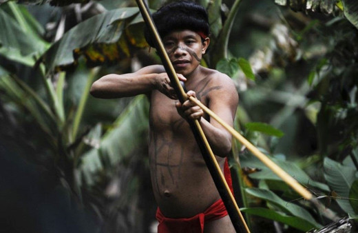 Koronavirüs balta girmemiş Amazon ormanlarına bile sıçradı