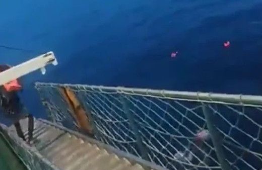 Feribottaki personelin koronavirüs olduğunu duyan yolcular denize atladı