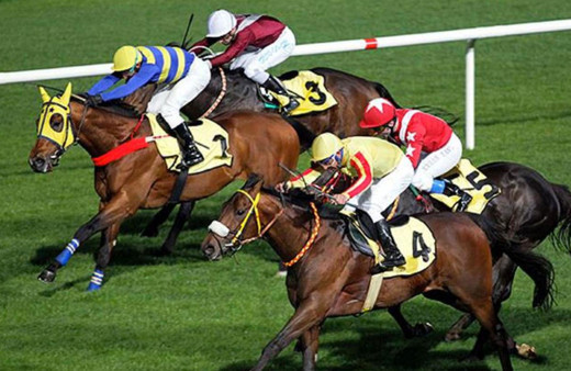 Bakanlıktan at yarışlarına ilişkin açıklama