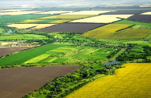 Bakanlık duyurmuştu: 9 milyon metrekarelik hazine arazisi tarıma açılıyor