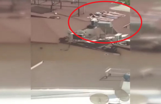 Antalya'da sahile gidemeyen kadınlar çatıda bikinili ve mayolu güneşlendi