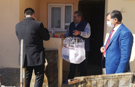 Evde sıkılınca muhabbet kuşu istedi