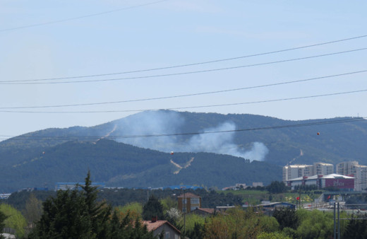 İstanbul Kartal'da korkutan orman yangını