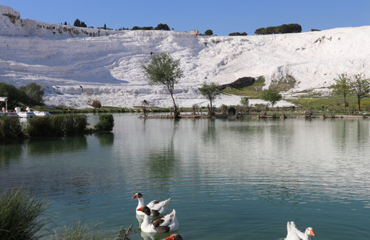 Doğa harikası Pamukkale'nin son hali ibretlik! Korona yasağıyla beyazladı