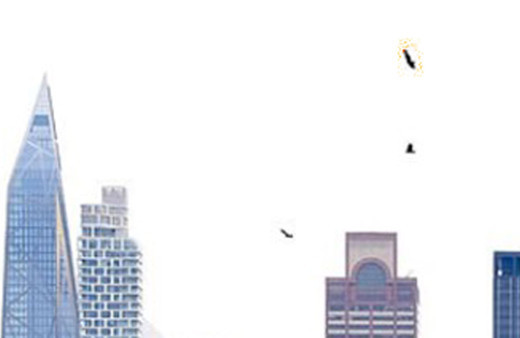 Koronavirüsten ölümler arttı her yer ceset oldu akbabalar şehrin üstünde uçmaya başladı