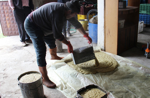 Aydın'da asırlık gelenekle koronavirüse karşı savaş başlattılar