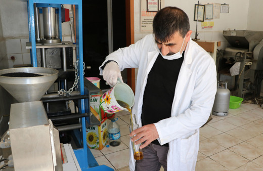 Koronavirüs sonrası çörek otu yağı satışları patladı