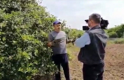 İBB aleyhine kurgu haber yapan ekip gözaltına alındı! Limon kumpası deniliyor