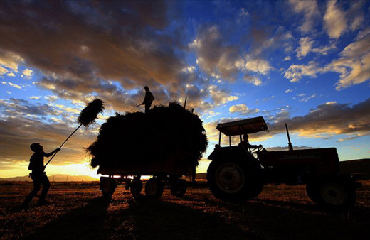 Hazine destekli tarımsal kredi geri ödemelerine 6 ay erteleme
