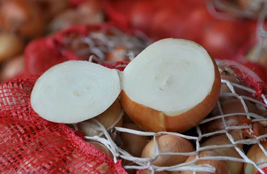 4. ayın sonunda soğan ihracatına izin çıktı! Tarım ve Orman Bakanlığı şartları