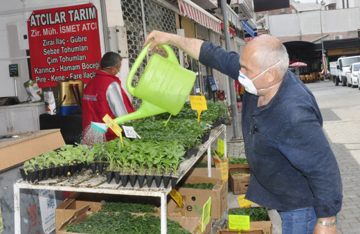 Antalya'da vatandaş fideye yöneldi fide satıcısı: Ömrümde böyle bir şey görmedim
