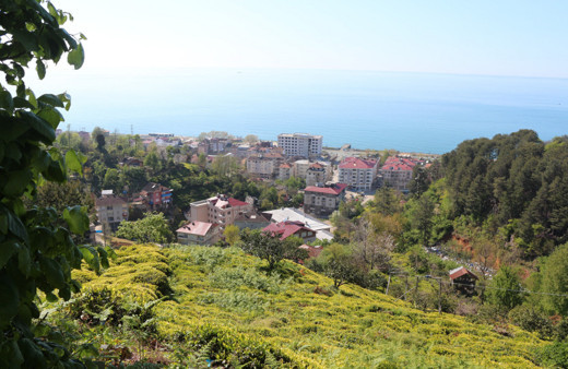 6 bin 900 TL maaşla, 2 bin çay işçisi arıyorlar