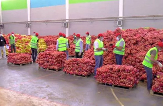 Dilovası Belediye ilçedeki 16 bin haneye 250 ton patates ve soğan dağıtıyor
