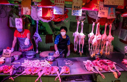 Çin’de yasağa rağmen vahşi hayvan tüketimi sürüyor