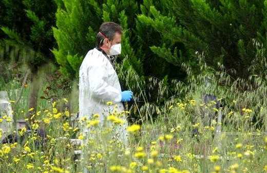 Süper Lig'in eski futbolcusu Cevher Toktaş minik oğlunu boğarak öldürdü