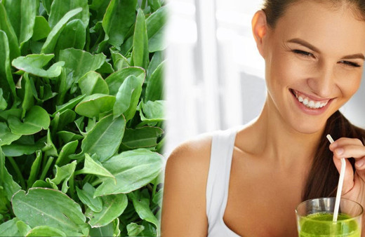 Evelik otu nedir birçok yararı var toksinleri vücuttan atıyor!