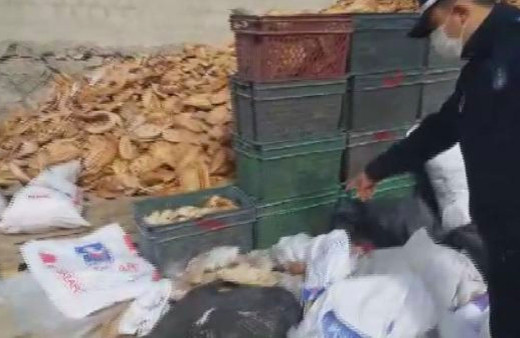 İstanbul'da küflü ekmek ve pidelerden galete unu yapan iş yerine baskın