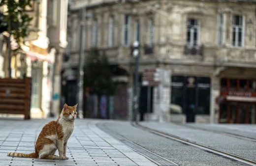 Bugün sokağa çıkma yasağı saatleri kaçta başlıyor ne zaman bitiyor?
