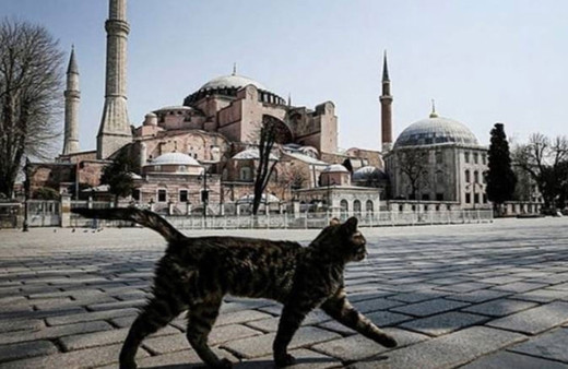 19 Mayıs'ta 4 gün sokağa çıkma yasağı! Market, bakkal, kasap ne zaman açılacak?