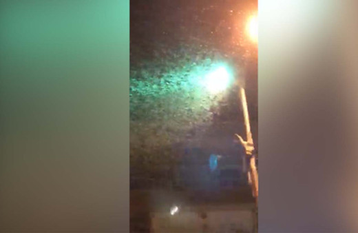 İnanılmaz görüntü! Lübnan böcek saldırısı altında