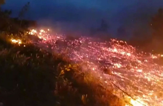 Bursa İnegöl'de korkutan orman yangını