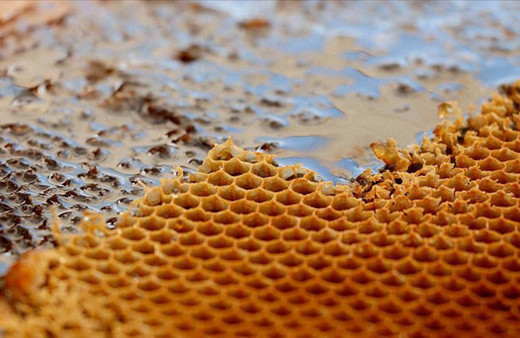 Türkiye'nin 2020 bal üretim hedefi 110 bin ton