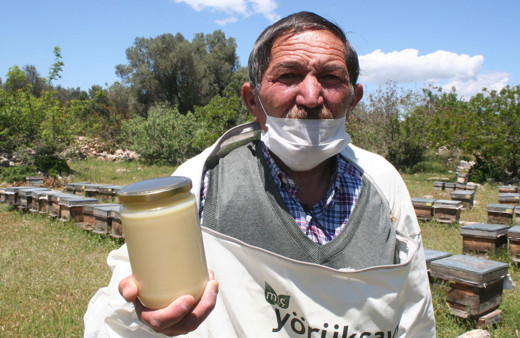 Kilosu 10 bin liranın altında olan arı sütü sahte arı sütüdür