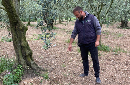 Bursa'da çiftçi tarlasında buldu apar topar yetkililere götürdü
