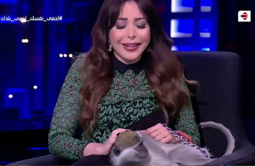 Mısırlı sunucuya canlı yayında maymun saldırdı!