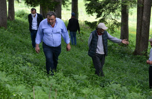 Trabzon'da maskesini takan ormana dalıp göktaşı aradı
