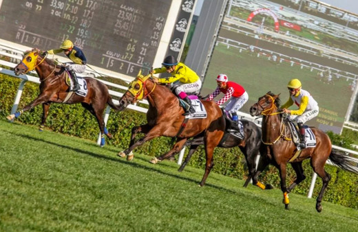 Gazi Koşusu'nun tarihi belli oldu