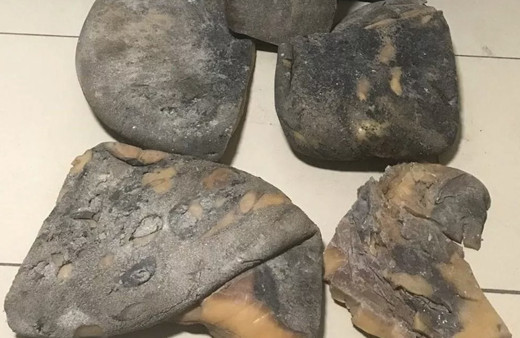 Balina kusmuğu nedir nerede satılır kilosu kaç para?