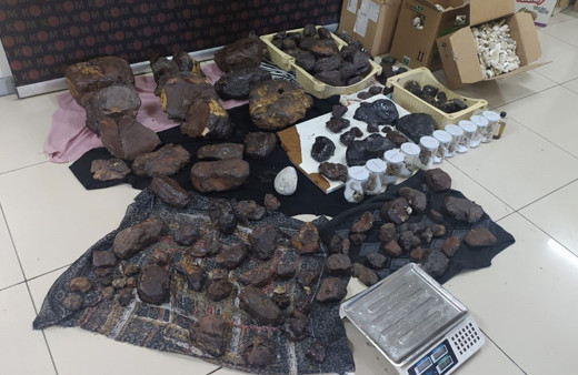 Balına kusmuğu ne işe yarar ne yapılır fiyatı kaç para?