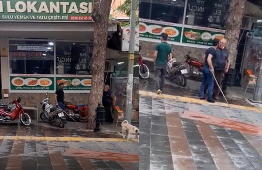 Sokak köpeğini sopayla döven adama ceza yağdı