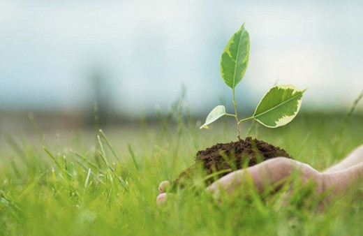 Dünya Çevre Günü 2020 ile ilgili kısa sözler ve etkinlik rehberi