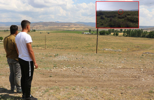 Çorum'da aslan ihbarı yağıyor! Başka köylerde de görüldü