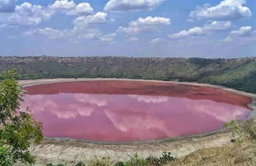 Göktaşıyla oluşan Hindistan'daki Lonar Gölü pembe renge döndü