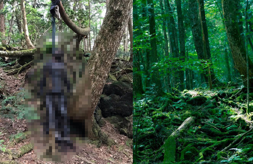 Japonya'daki intihar ormanında iki ceset bulundu! Türkler ihbar etti