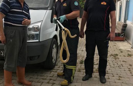 Salihli'de panik! Mutfaktaki yılanı itfaiye çıkardı