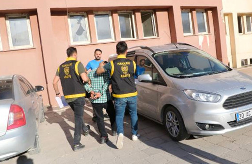 Hakkari'de 85 yaşındaki kadın ve 15 yaşındaki çocuğa cinsel istismarda bulundu