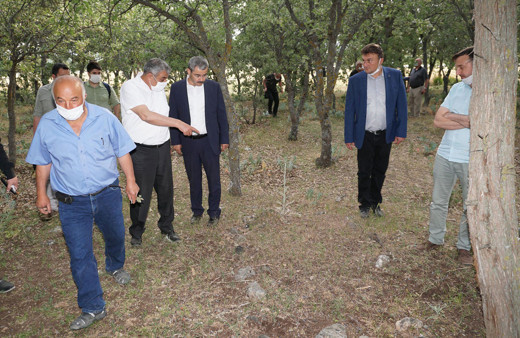 Denizli'de 99 yıl önce yakılarak öldürülen 83 Türk'ün mezarı tespit edildi